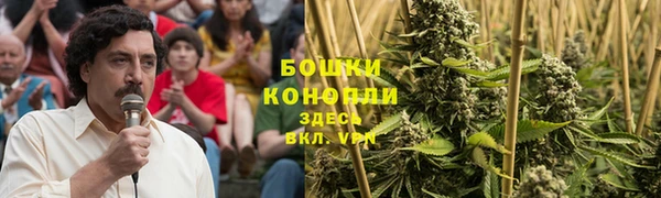 гашик Куйбышев