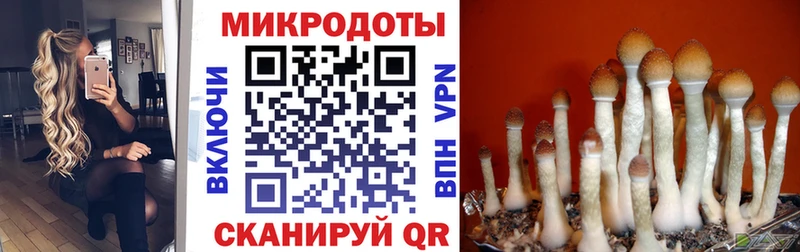 Псилоцибиновые грибы GOLDEN TEACHER  Купить  Дятьково 